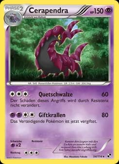 Cerapendra card in German