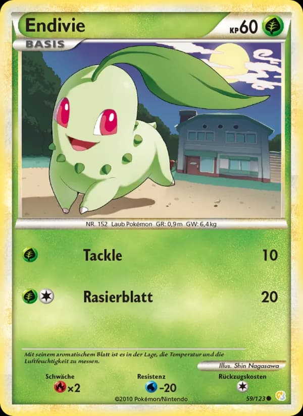 Endivie card in German