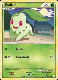 Endivie card in German