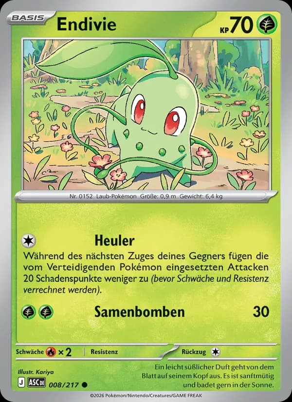 Endivie card in German
