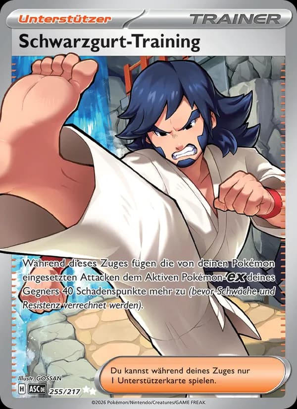 Schwarzgurt-Training card in German