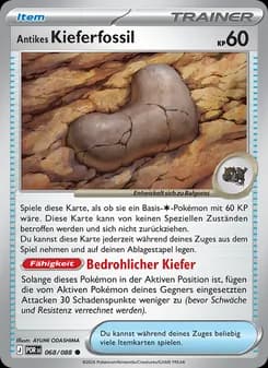 Antikes Kieferfossil card in German