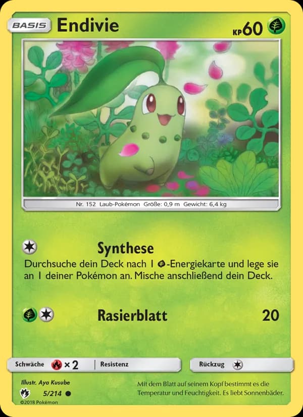 Endivie card in German