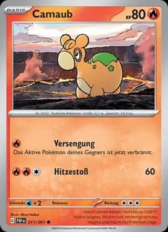 Camaub card in German