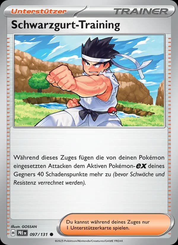 Schwarzgurt-Training card in German