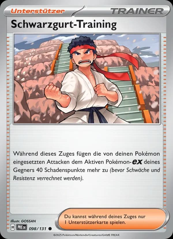 Schwarzgurt-Training card in German
