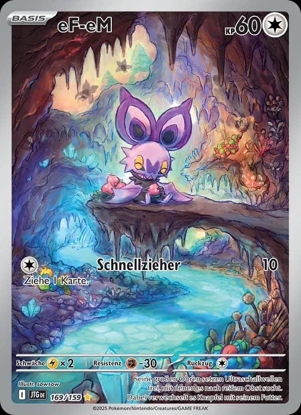 eF-eM card in German