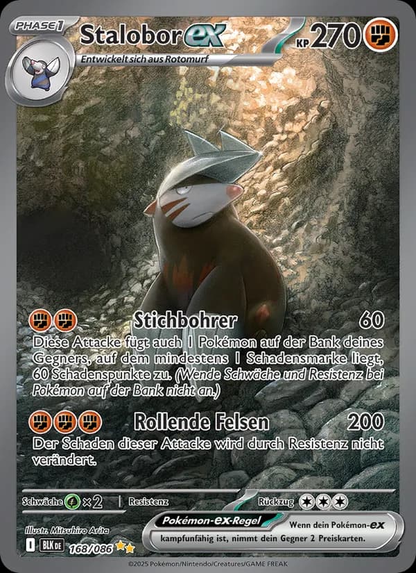 Stalobor-ex card in German
