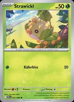 Strawickl card in German