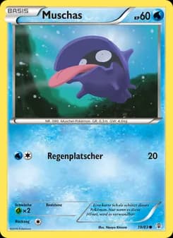 Muschas card in German