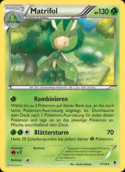 Matrifol card in German