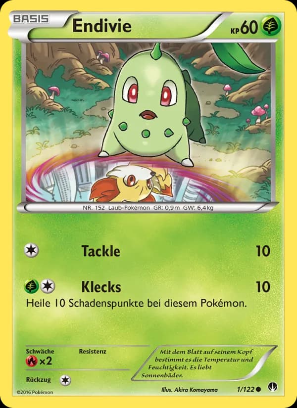 Endivie card in German
