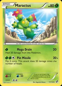 Maractus card in English
