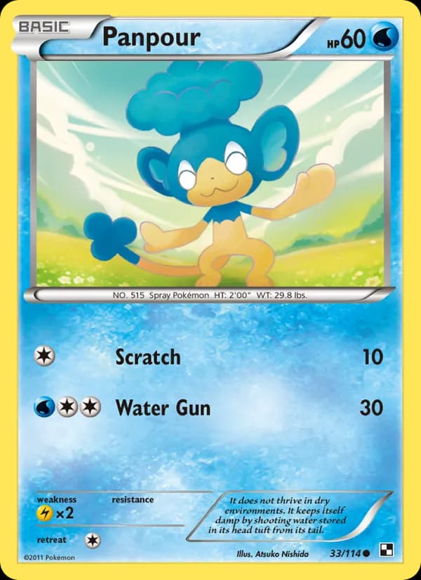 Panpour card in English