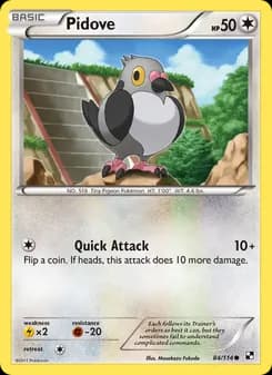 Pidove card in English