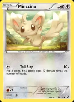 Minccino card in English