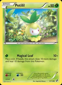 Petilil card in English