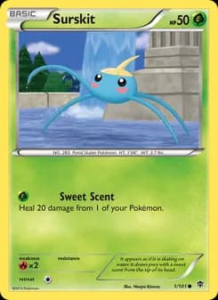 Surskit card in English