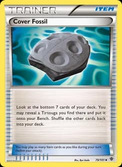 Cover Fossil card in English