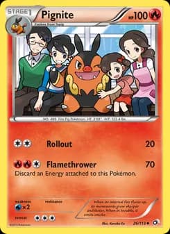 Pignite card in English