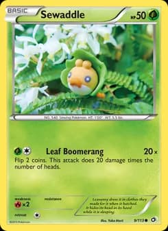 Sewaddle card in English