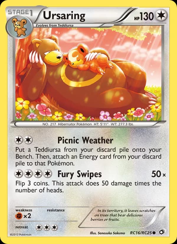 Ursaring card in English