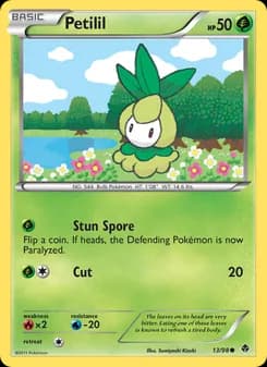 Petilil card in English