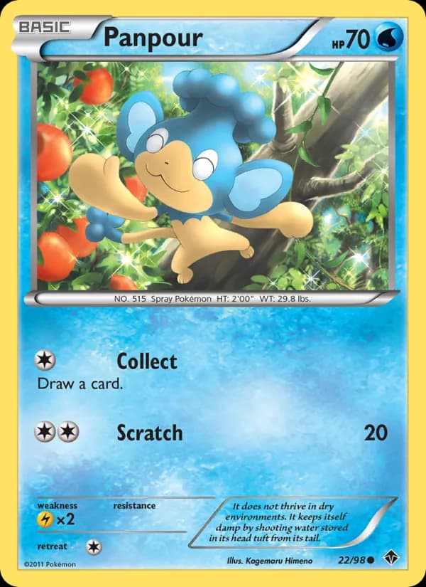 Panpour card in English