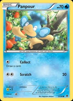 Panpour card in English