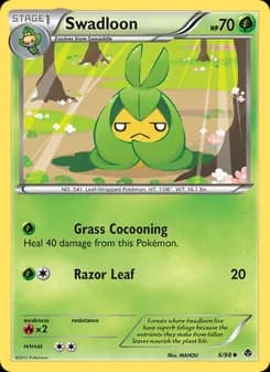 Swadloon card in English
