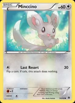 Minccino card in English