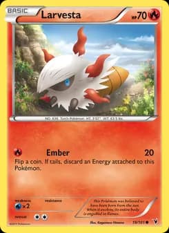 Larvesta card in English