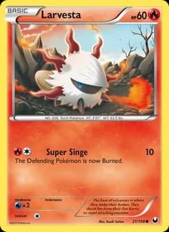 Larvesta card in English