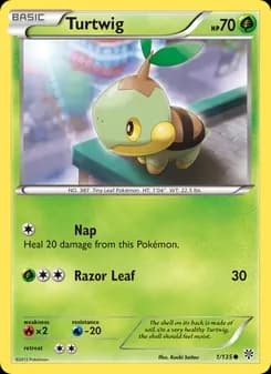 Turtwig card in English