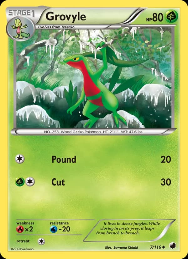Grovyle card in English