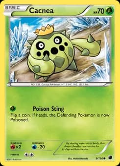 Cacnea card in English