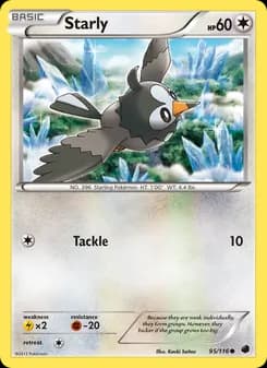 Starly card in English