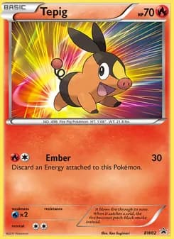 Tepig card in English