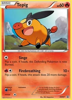 Tepig card in English