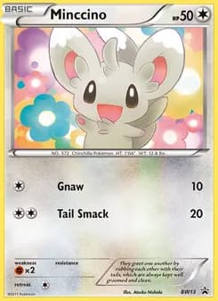 Minccino card in English