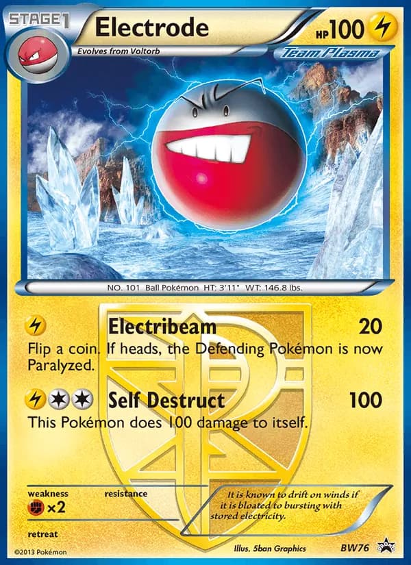 Electrode card in English