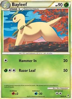 Bayleef card in English