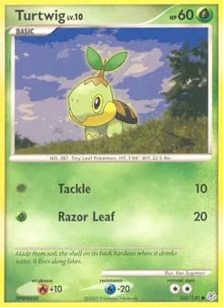 Turtwig card in English