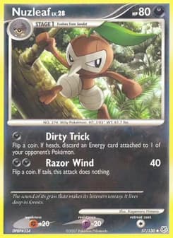 Nuzleaf card in English