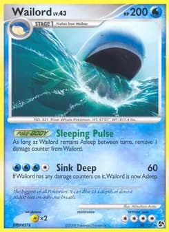 Wailord card in English
