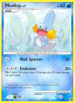 Mudkip card in English