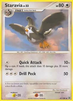 Staravia card in English