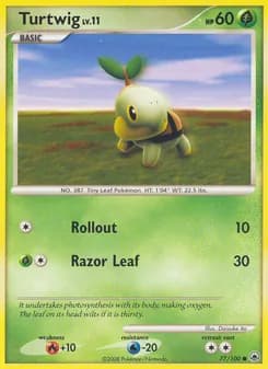 Turtwig card in English
