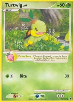 Turtwig card in English