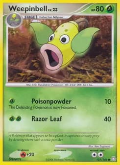 Weepinbell card in English